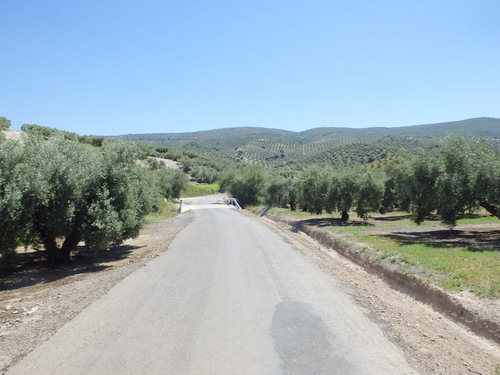 The road to Baena.
